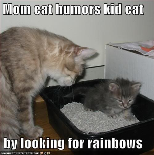 funny-pictures-rainbow-litter-mom-k.jpg