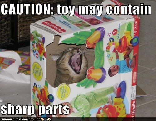 funny-pictures-this-toy-may-contain.jpg