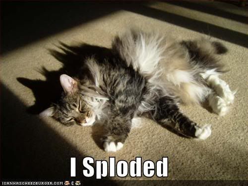 funny-pictures-your-cat-has-explode.jpg