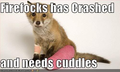 funny-pictures-your-firefox-needs-c.jpg