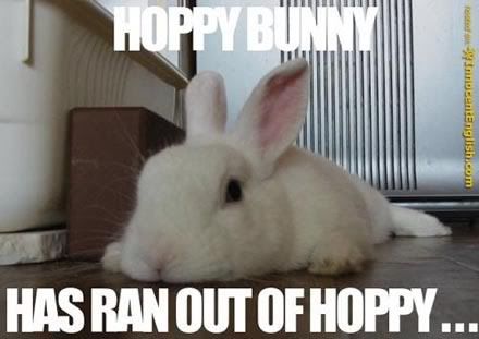 funny-tired-bunny.jpg