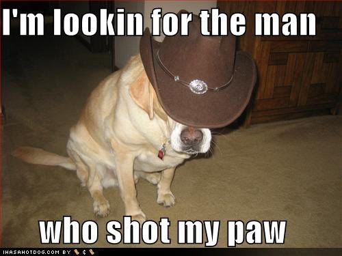 funny_dog_pictures_cowboy_hat.jpg