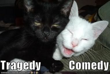 funnypicturesblackcatwhitecat_copy1.jpg