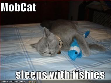 funnypicturesmobcatsleepswithfish_c.jpg