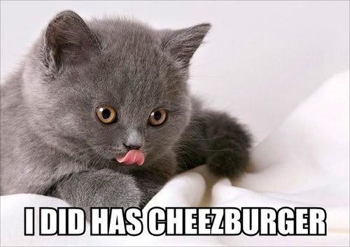 i-did-has-cheezburger.jpg