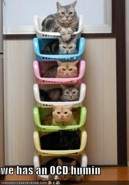 large_funny-pictures-stacked-cats-h.jpg