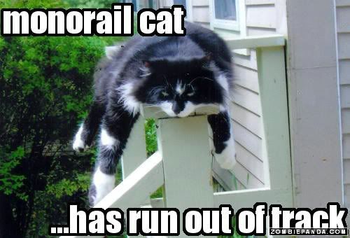 monorailcat.jpg