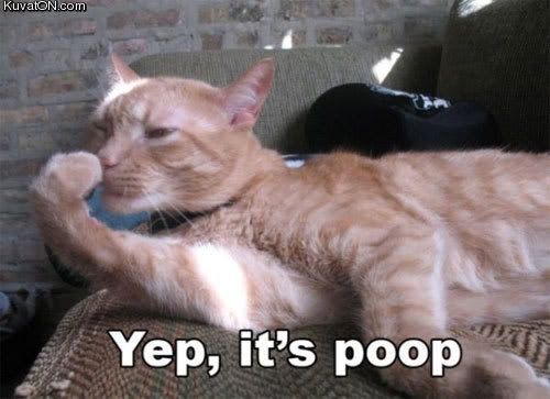 poop_cat.jpg