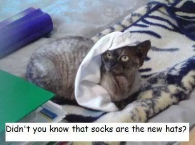 socks_hats.jpg