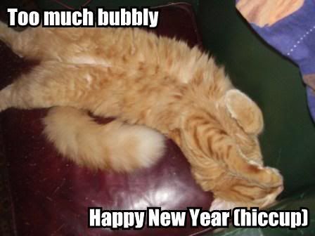 too-much-bubbly-happy-new-year-hicc.jpg