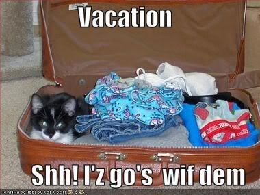 vacations_copy1.jpg