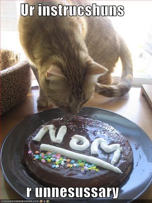 funny-pictures-orange-cat-nom-cake.jpg