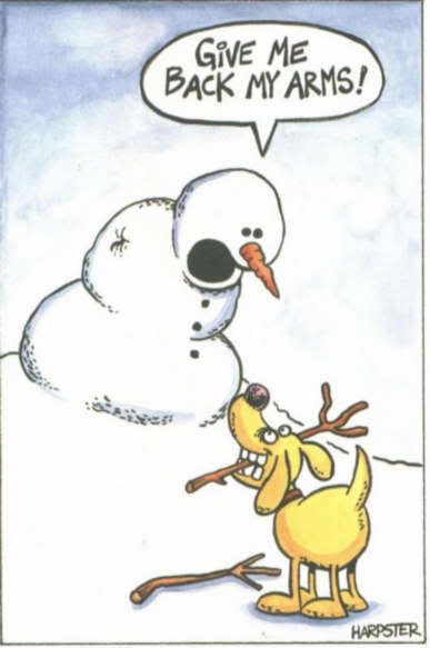 bad-mutt-bites-snowman-funny-pic.jpg