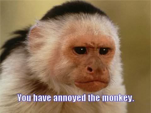 you-have-annoyed-monkey.jpg