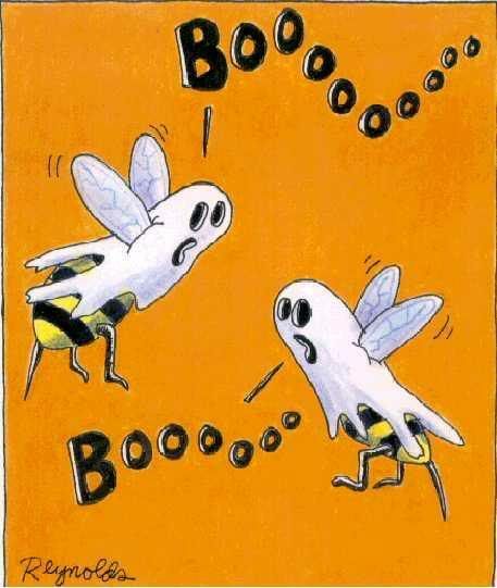 boobees.jpg