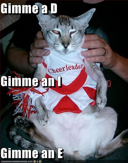 funny-pictures-cheerleader-cat-wish.jpg