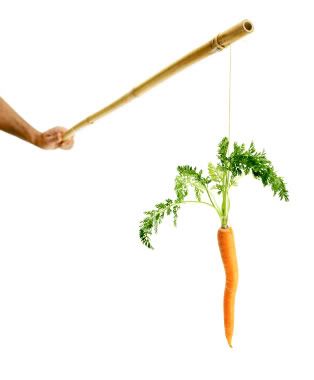 carrot_and_the_stick.jpg