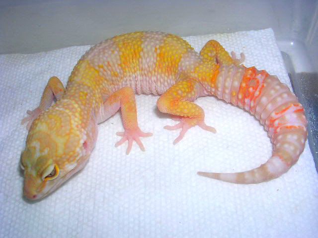DSCN6034.jpg