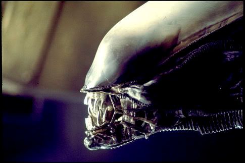 Alien 1979 photo: Alien 1979_alien_014.jpg