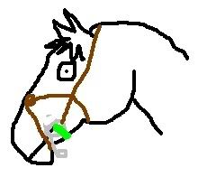 bett2.jpg