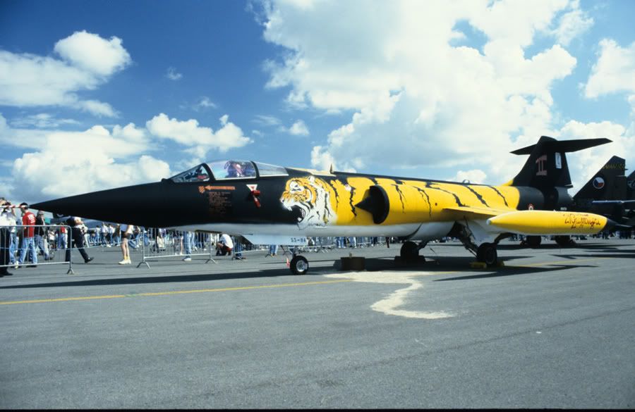 http://img.photobucket.com/albums/v714/Bruggen/CopyofTigerfighter.jpg