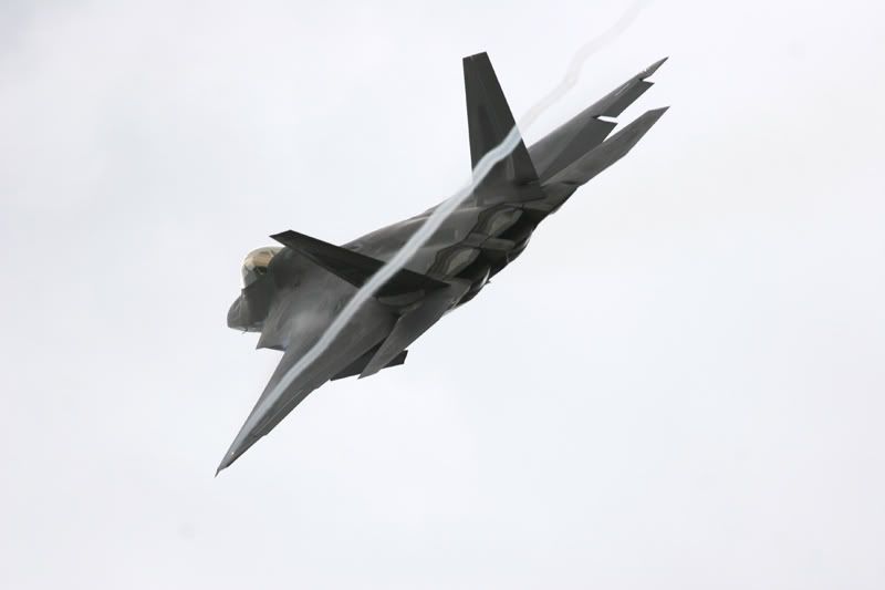 http://img.photobucket.com/albums/v714/Bruggen/Raptor27.jpg