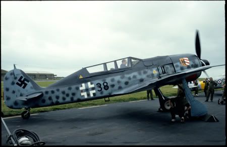 http://img.photobucket.com/albums/v714/Bruggen/fw190.jpg