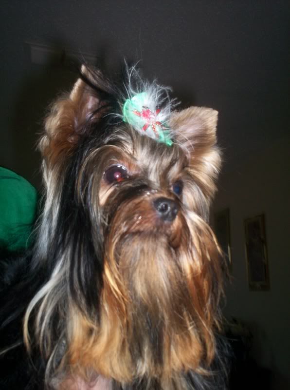 Photobucket - Video and Image Hosting