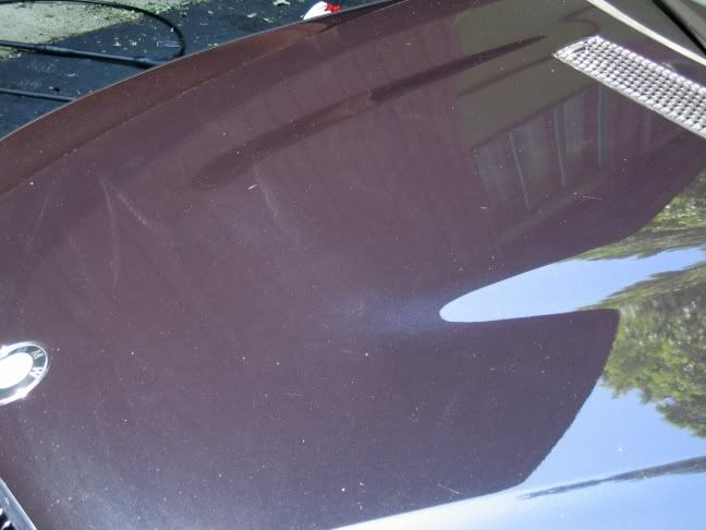 FloridaVacandCars091.jpg