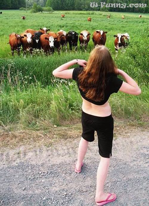 If you need more information, please click here http://w-funny.com