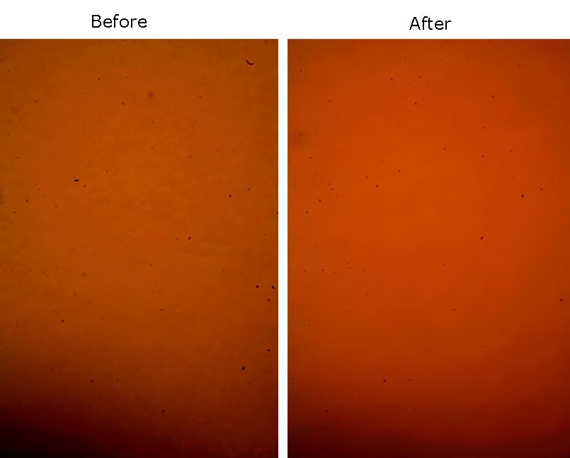 IMAGE: http://img.photobucket.com/albums/v715/kninja0/Lasers/XT%20Camera/85mm/beforenafter.jpg