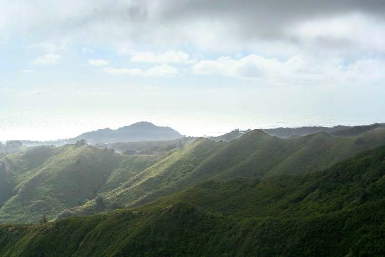 IMAGE: http://img.photobucket.com/albums/v715/kninja0/Lasers/XT%20Camera/Untit22led-2.jpg