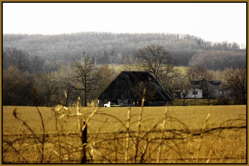 IMAGE: http://img.photobucket.com/albums/v715/kninja0/Lasers/XT%20Camera/aliencam/f78bf036.jpg