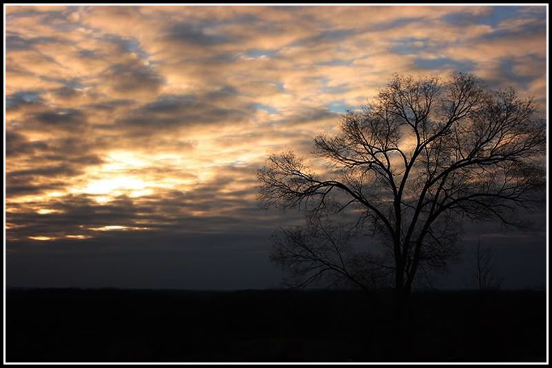 IMAGE: http://img.photobucket.com/albums/v715/kninja0/Lasers/XT%20Camera/aliencam/land.jpg