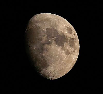 IMAGE: http://img.photobucket.com/albums/v715/kninja0/Lasers/XT%20Camera/b63f00ce.jpg