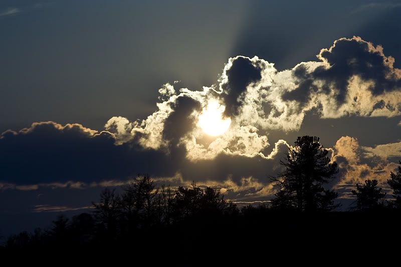 IMAGE: http://img.photobucket.com/albums/v715/kninja0/Lasers/XT%20Camera/vacation/IMG_6384.jpg