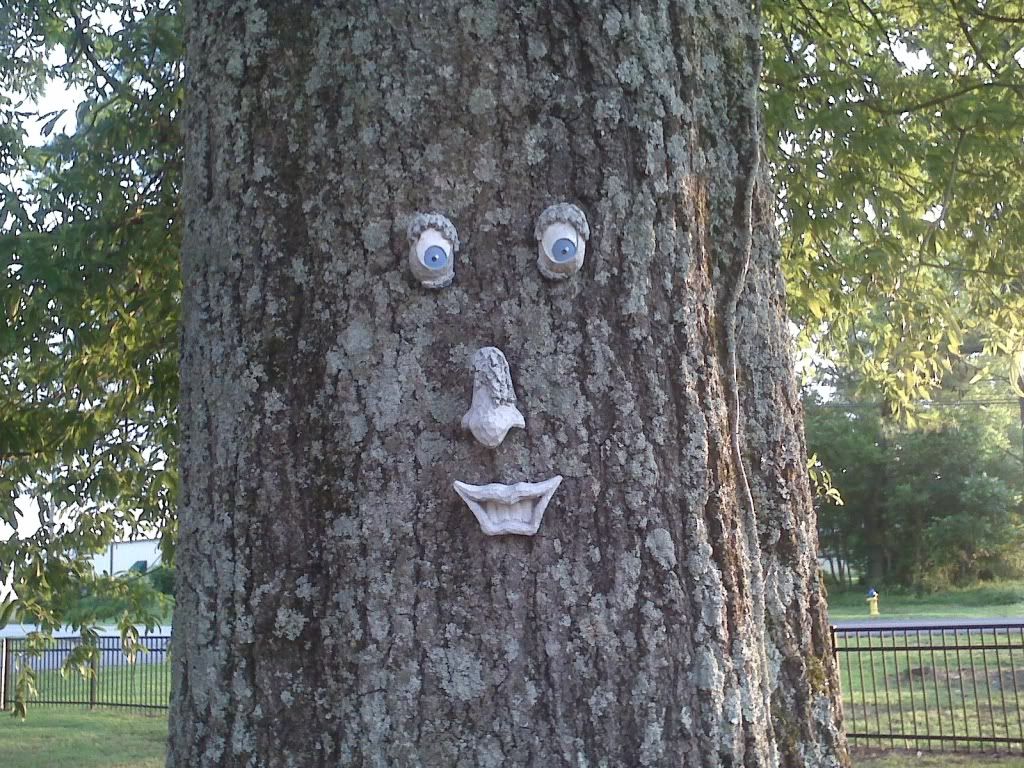 http://img.photobucket.com/albums/v715/rainylynn/treeguy.jpg?t=1244685858