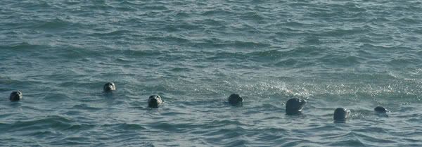 �� ����� ������, ��� ���� ������!!