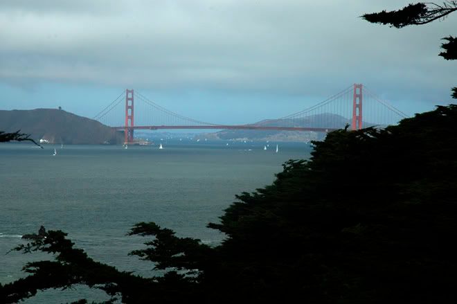 ���� ����...