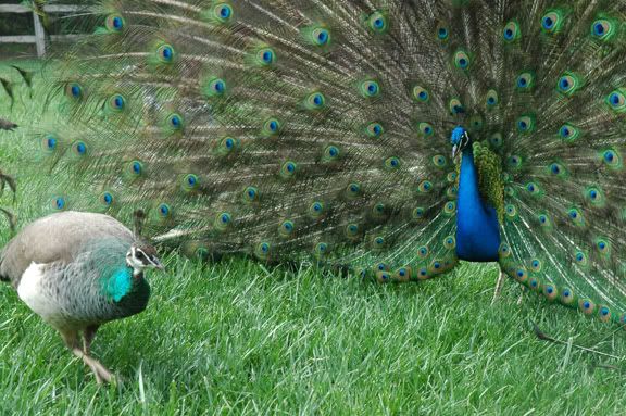 Image hosted by Photobucket.com