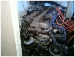 http://img.photobucket.com/albums/v716/JUGAH_DOR/1274551631.jpg