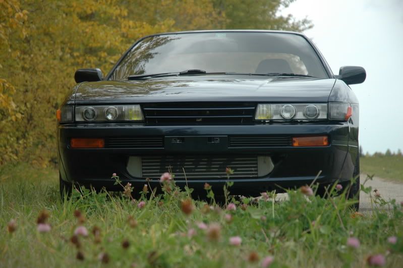 http://img.photobucket.com/albums/v716/b_huge/SILVIA/New%20Silvia/silvia008.jpg