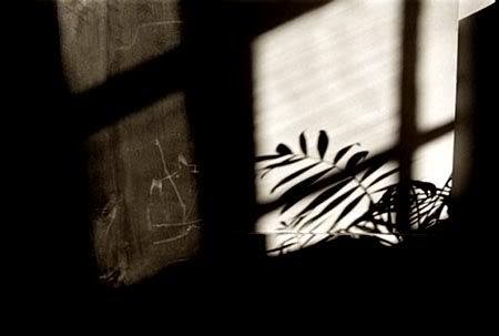 walking away from my mind