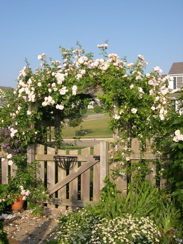 Photobucket - Video and Image Hosting