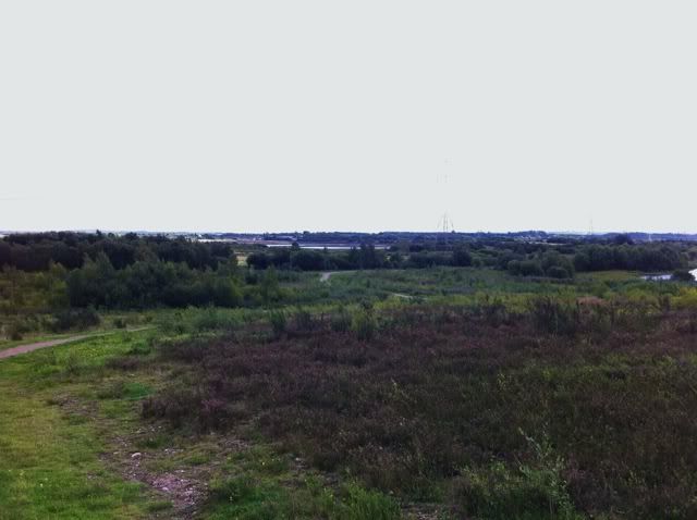 Chasewater_first8.jpg