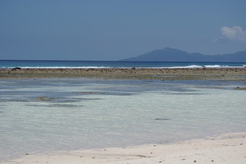 DSC00028.jpg