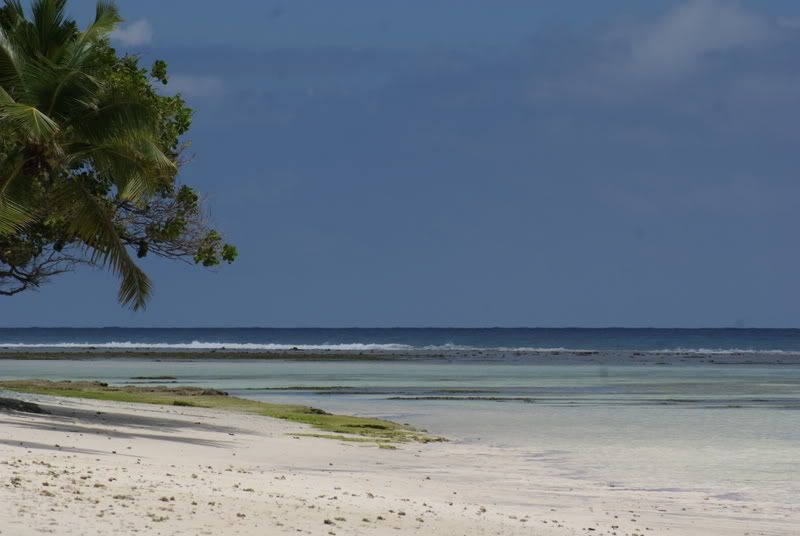 DSC00034.jpg
