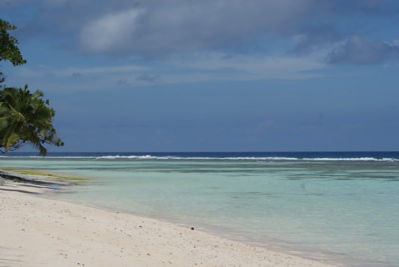 DSC00240.jpg