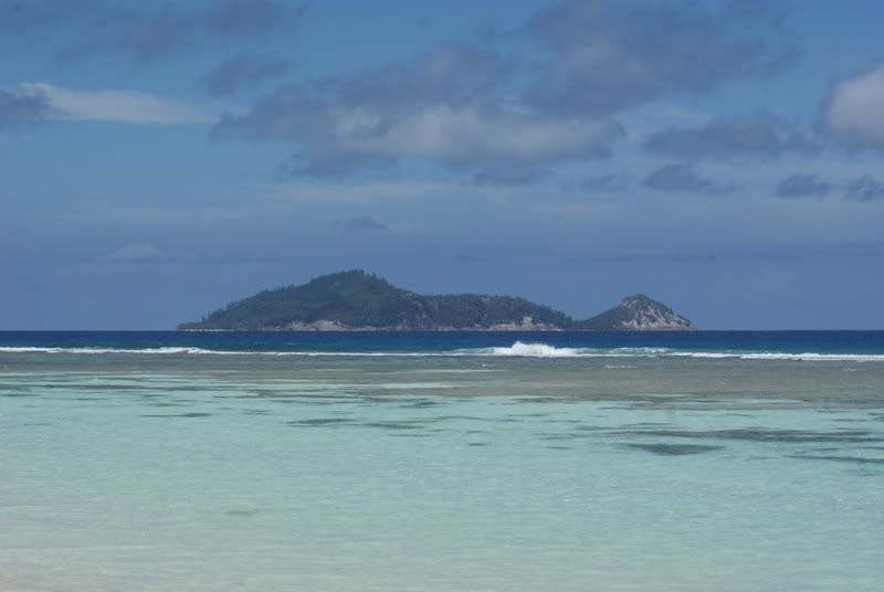 DSC00242.jpg