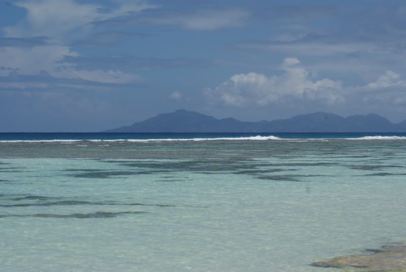 DSC00266.jpg